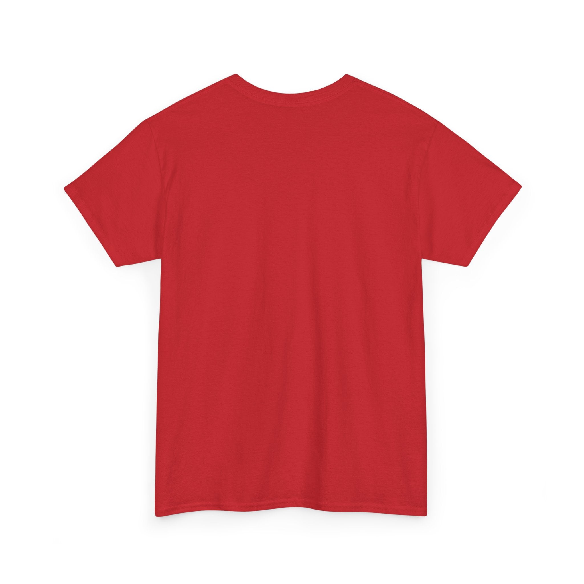 I Don't Have The Energy For You Today T-Shirt | Fiery Graphic Tee