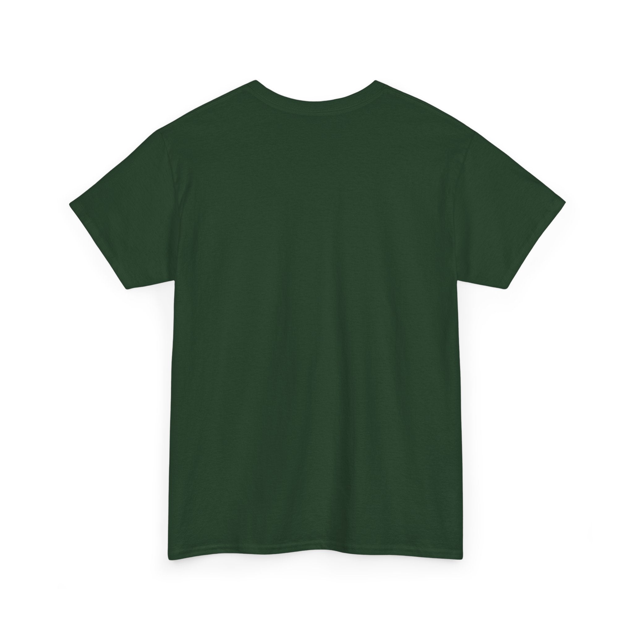I Don't Have The Energy For You Today T-Shirt | Fiery Graphic Tee